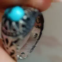 انگش تر فیروزه نقره