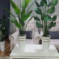 تولیدی درختچه مصنووعی قابل شستشو