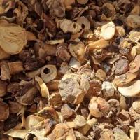 موسیر کلنگی