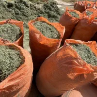 یونجه|خدمات باغبانی و درختکاری|برازجان, |دیوار