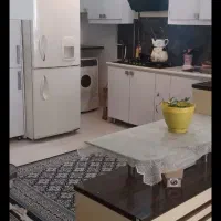 رضاشهر