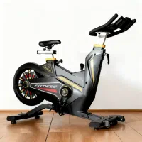 دوچرخه اسپینیگ