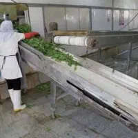 استخدام نیرو کارگرساده و راننده باخودرو