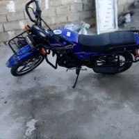 ۲۰۰ شکاری همتاز