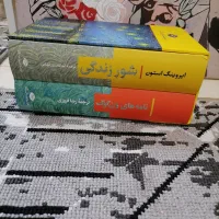 کتاب شور زندگی و نامه های ون گوگ
