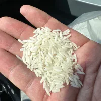 برنج شیرودی عالی