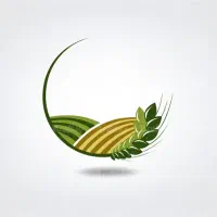 زمین