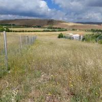 زمین-خالی-برای-باغ