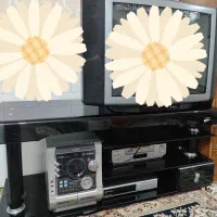 تلویزیون۲۴اینچ پاناسونیک