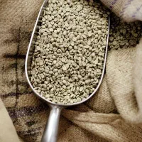نیروی ساده خانوم