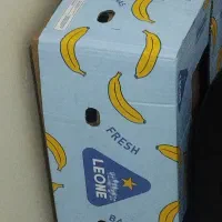 کارتن