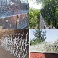 حفاظ شاخ گوزنی کوهدشت