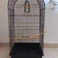 قفس پرنده