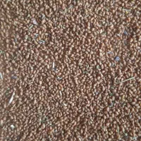 فروش بذر یونجه