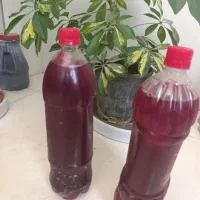 اب انار|خوردنی و آشامیدنی|خورموج, |دیوار