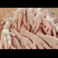 اسکلت مرغ
