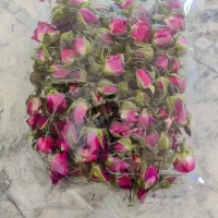 گل محمدی غنچه و پرک اعلا