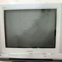 تلویزیون