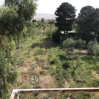 باغ در جنت اباد قم|فروش دفتر صنعتی، کشاورزی، تجاری|تهران, امین حضور|دیوار