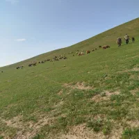 (نخری از دستت رفته)بازدهی بالا باسکول دقیق