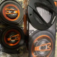 یک جفت باند کدنس اصلی رودری