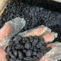 کشمش انگور ترکمن