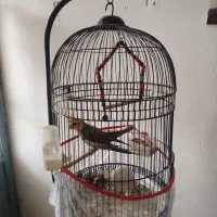 قفس پایه دار