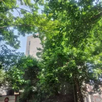 مغازه۳۱مترسرقفلی‌ومالکیت‌طبقه۲