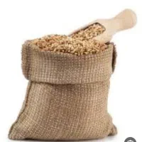 جو نانیوس