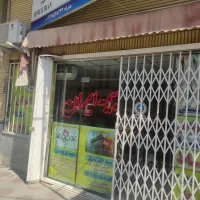 اقساط بیمه ایران اقساط