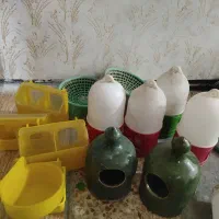 کبوتر