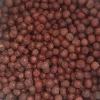 اناب|خوردنی و آشامیدنی|خوسف, |دیوار