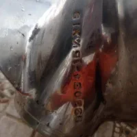 پروانه قایق