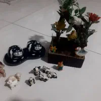 درختچه صدا گنجشک