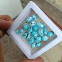 نگین کلی