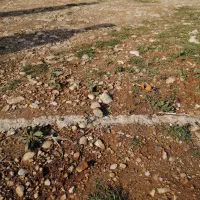 180مترزمین-مسکونی-روستایی