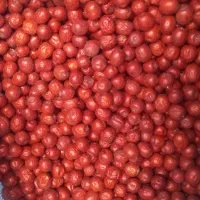 عناب|خوردنی و آشامیدنی|بیرجند, |دیوار