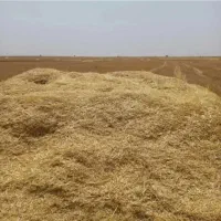 فروش سه تن کاه جو بش