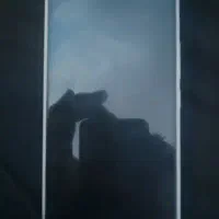 داریا باند ۲ لایت