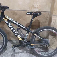 دوچرخه ویوا ۲۴ اصل