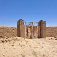 باغ-پسته-با-340-درخت