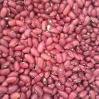 لوبیاسفیدوقرمز نخودعدس
