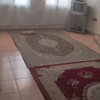 پیک / ارکیده شرقی / ۷۶متر