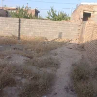 زمین-باغی