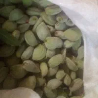 چغاله بادام پوست کاغذی