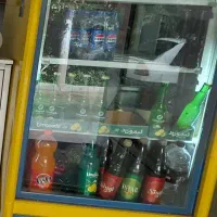 یخچال ایستاده تک در