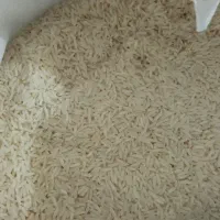 برنج سالم