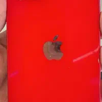 IPhone 14|موبایل|نیشابور, گمنام غربی|دیوار