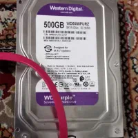 هارد 500GB وسترن بنفش در حدنو
