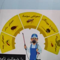 سم پاشی حشرات موزی